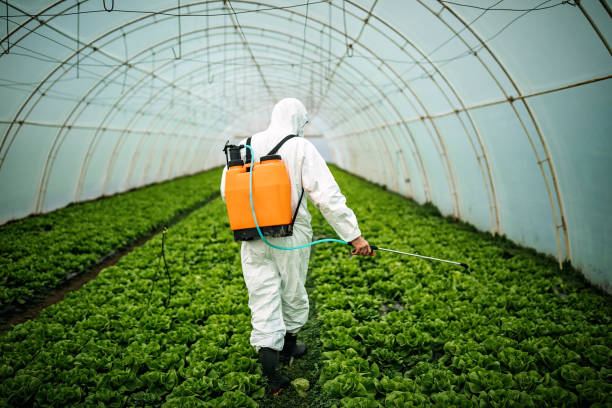 Best Pest Inspection Near Me  in Garden Home Whitfd, OR