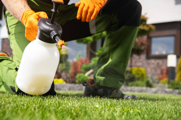 Bird Control in Garden Home Whitford, OR