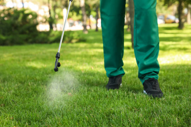 Best Termite Control Services  in Garden Home Whitfd, OR