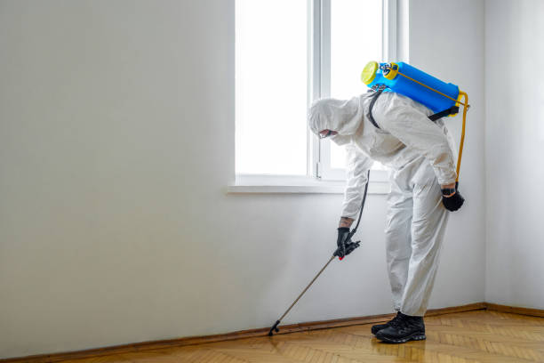 Best Affordable Pest Control Services  in Garden Home Whitfd, OR