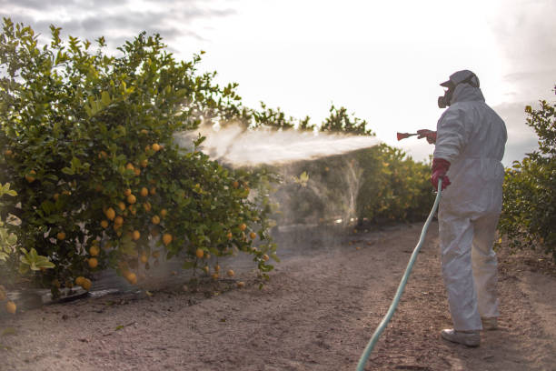 Best Mosquito Control Services  in Garden Home Whitfd, OR