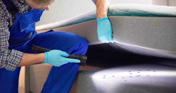 Best Insect Control  in Garden Home Whitfd, OR