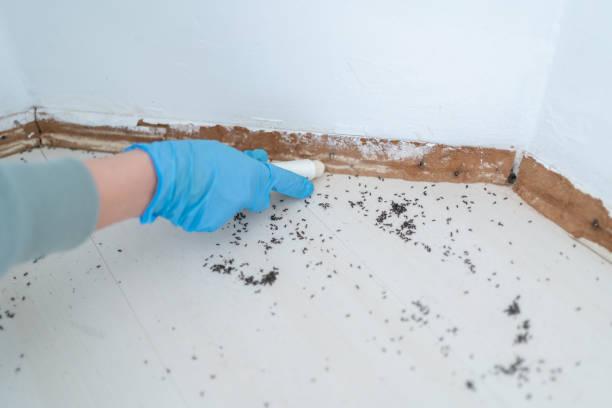 Best Pest Control Near Me in Garden Home Whitford, OR