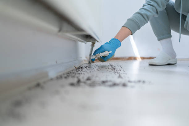 Best Cockroach Control Services  in Garden Home Whitfd, OR